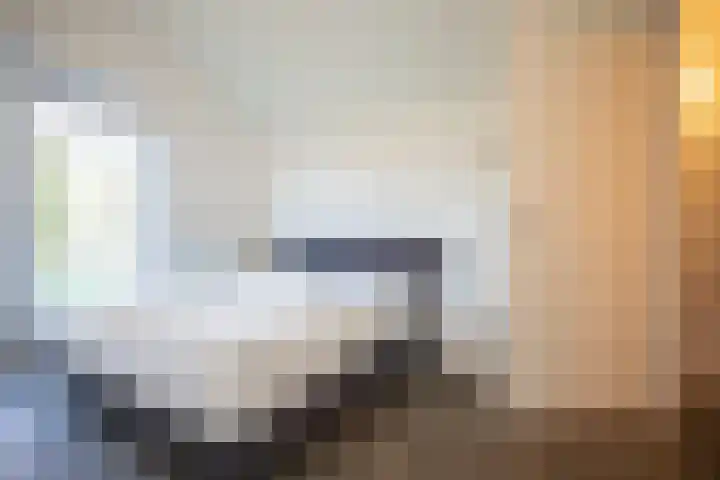 Boomsweg 1 ZH83 Hoge Hexel thumbnail 17