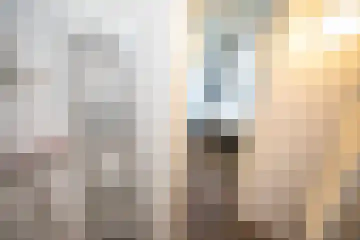 Boomsweg 1 ZH83 Hoge Hexel thumbnail 18