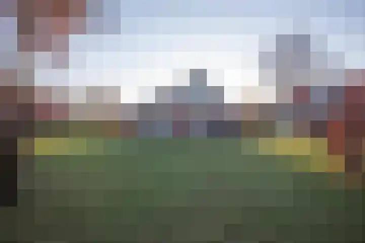 Boomsweg 1 ZH83 Hoge Hexel foto 2