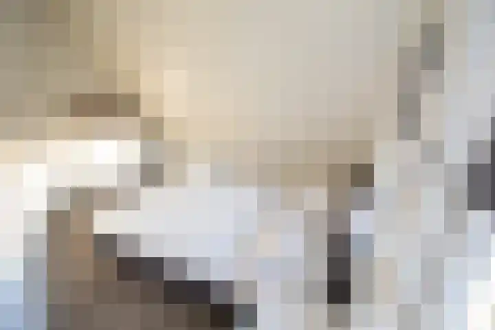 Boomsweg 1 ZH83 Hoge Hexel thumbnail 28