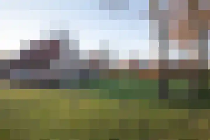 Boomsweg 1 ZH83 Hoge Hexel foto 3