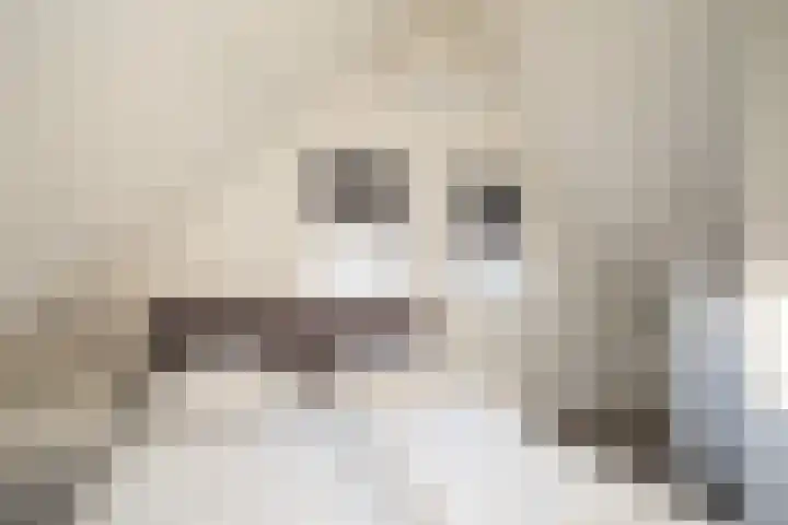 Boomsweg 1 ZH83 Hoge Hexel thumbnail 32