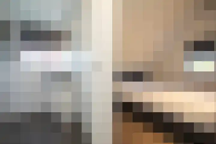 Boomsweg 1 ZH83 Hoge Hexel thumbnail 33