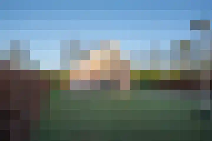 Boomsweg 1 ZH83 Hoge Hexel thumbnail 41