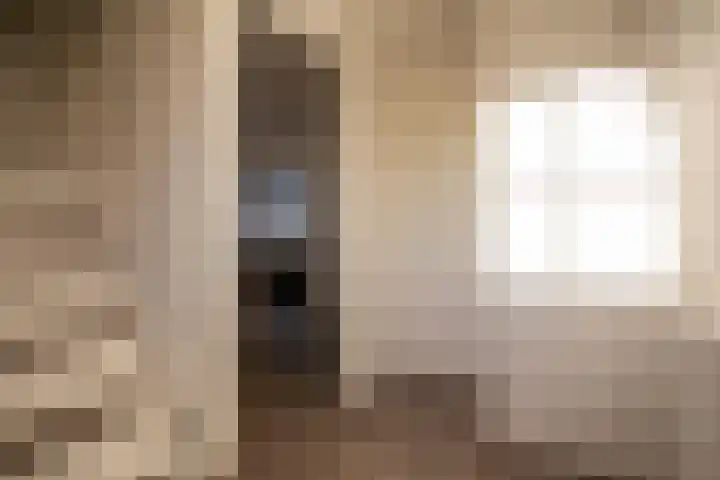 Boomsweg 1 ZH83 Hoge Hexel thumbnail 5