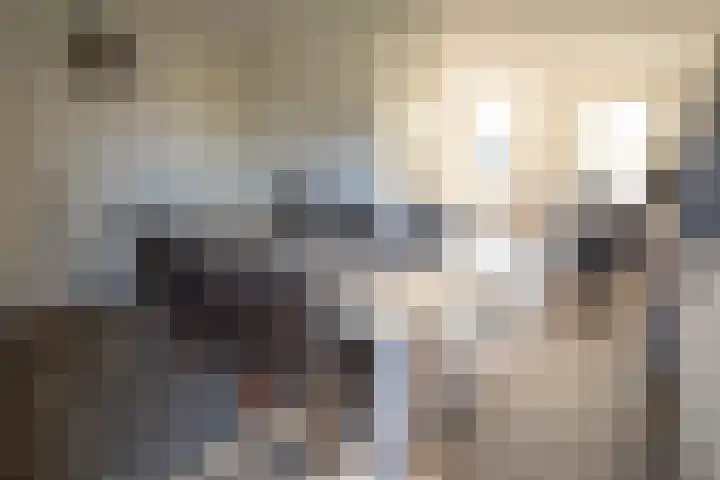 Boomsweg 1 ZH83 Hoge Hexel thumbnail 6
