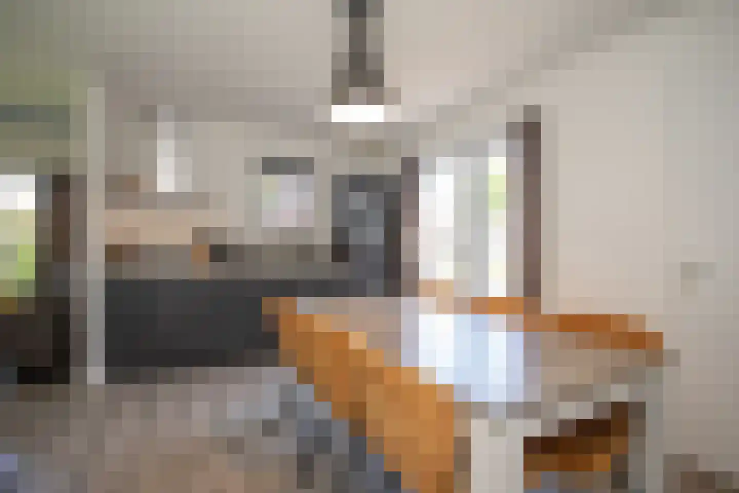 Boomsweg 1 ZH94 Hoge Hexel thumbnail 12