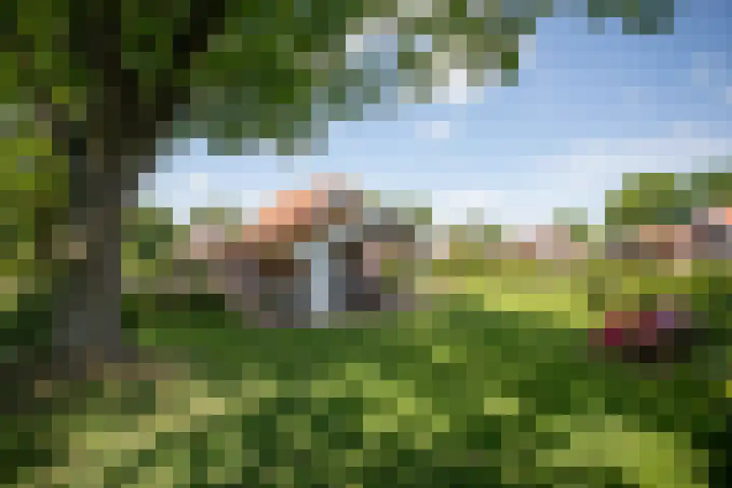 Boomsweg 1 ZH94 Hoge Hexel foto 2