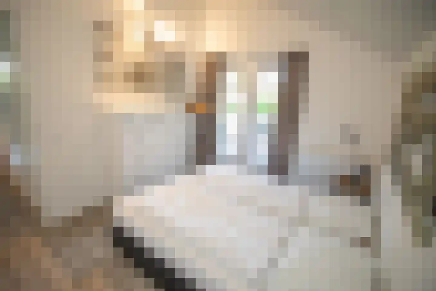 Boomsweg 1 ZH94 Hoge Hexel thumbnail 22