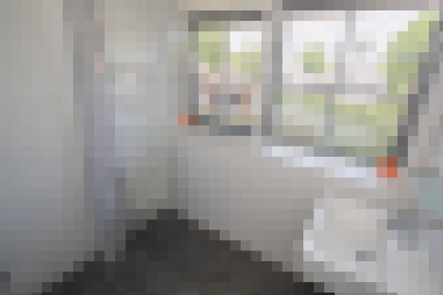 Boomsweg 1 ZH94 Hoge Hexel thumbnail 30