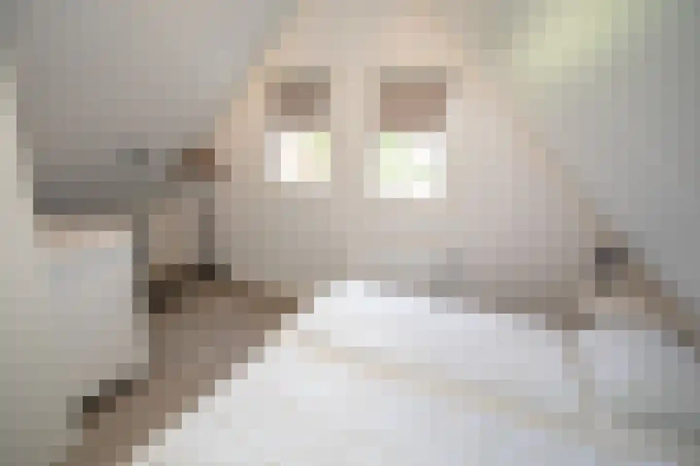 Boomsweg 1 ZH94 Hoge Hexel thumbnail 34