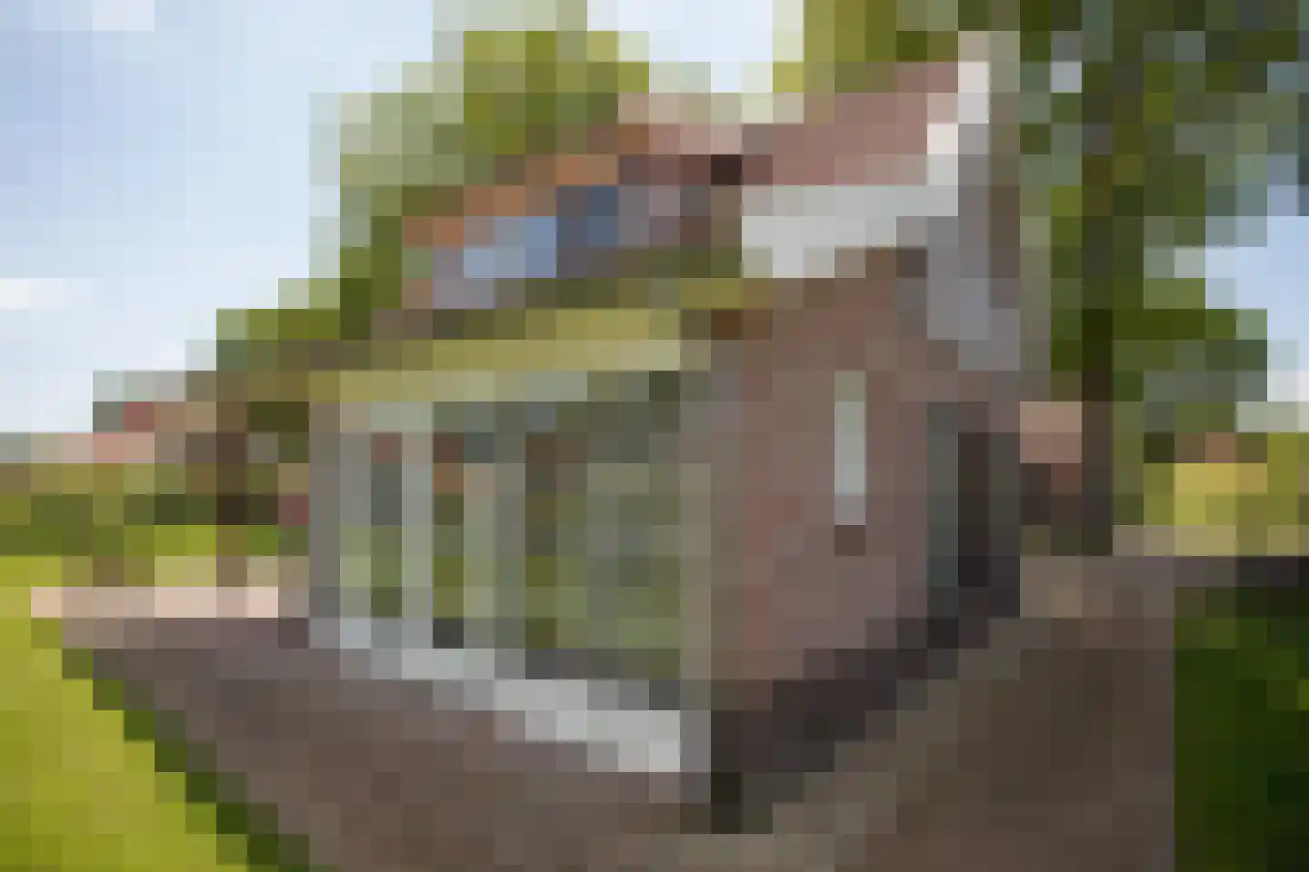 Boomsweg 1 ZH94 Hoge Hexel thumbnail 37