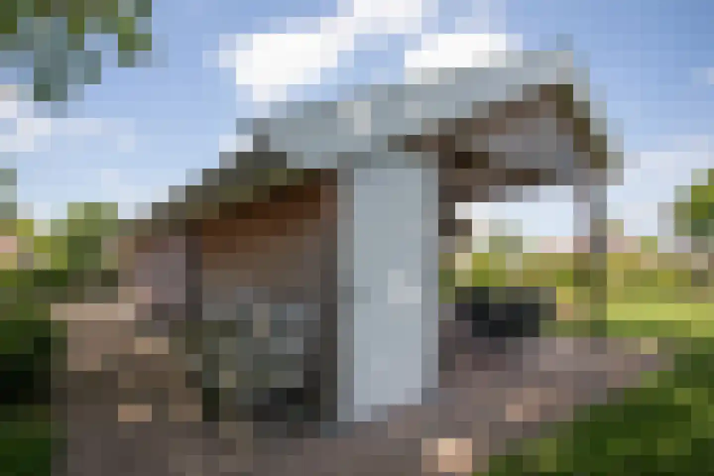 Boomsweg 1 ZH94 Hoge Hexel thumbnail 4