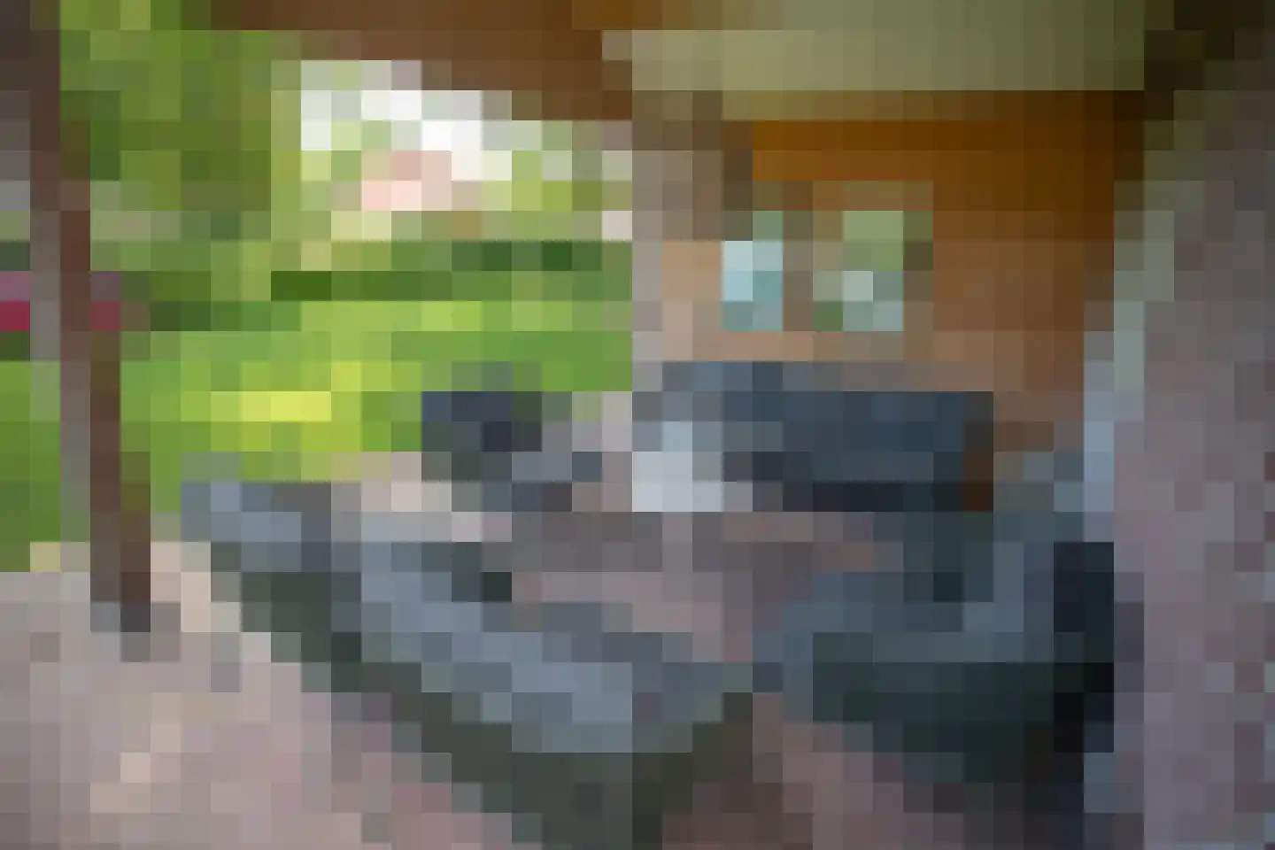 Boomsweg 1 ZH94 Hoge Hexel thumbnail 7