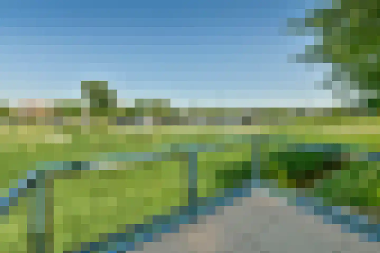 Boomvalk 2 Ouderkerk aan de Amstel foto 2