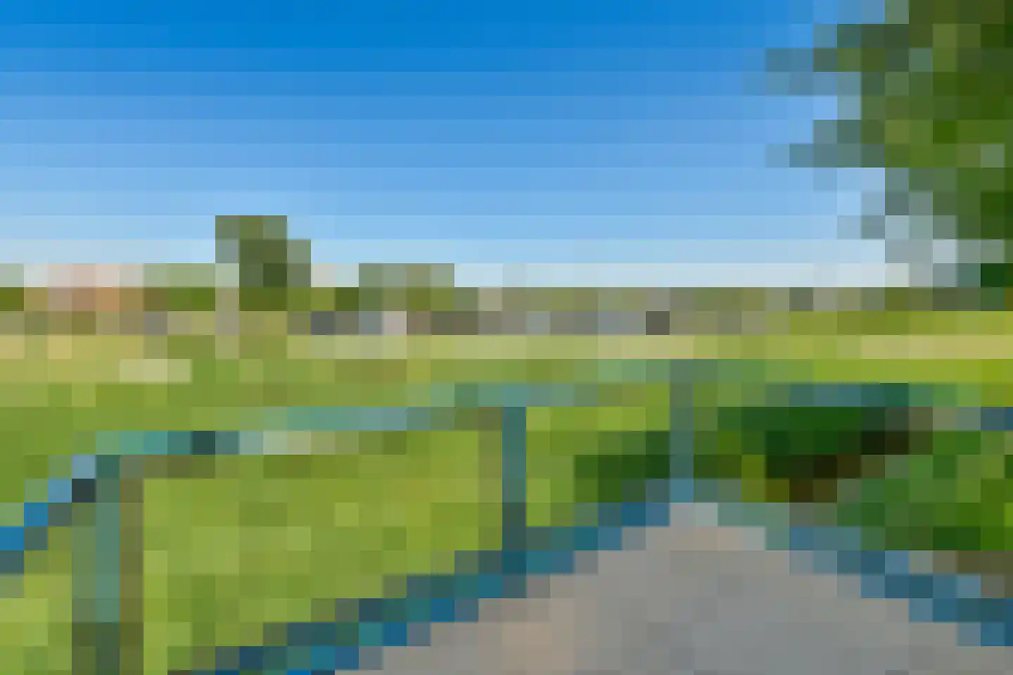 Boomvalk 2 Ouderkerk aan de Amstel foto 2