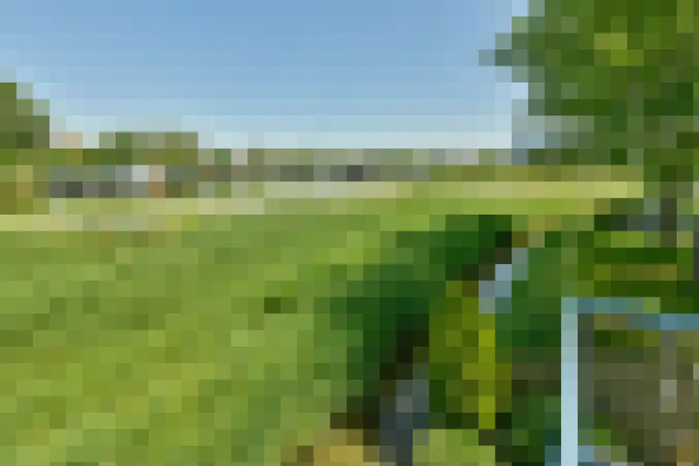 Boomvalk 2 Ouderkerk aan de Amstel thumbnail 23