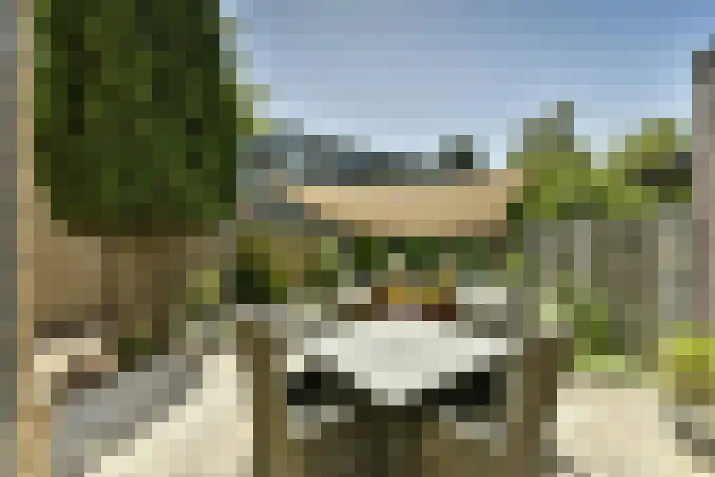 Boomvalk 2 Ouderkerk aan de Amstel thumbnail 5