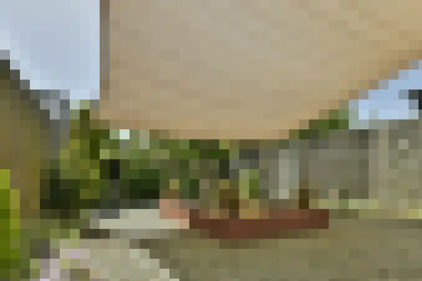 Boomvalk 2 Ouderkerk aan de Amstel thumbnail 6
