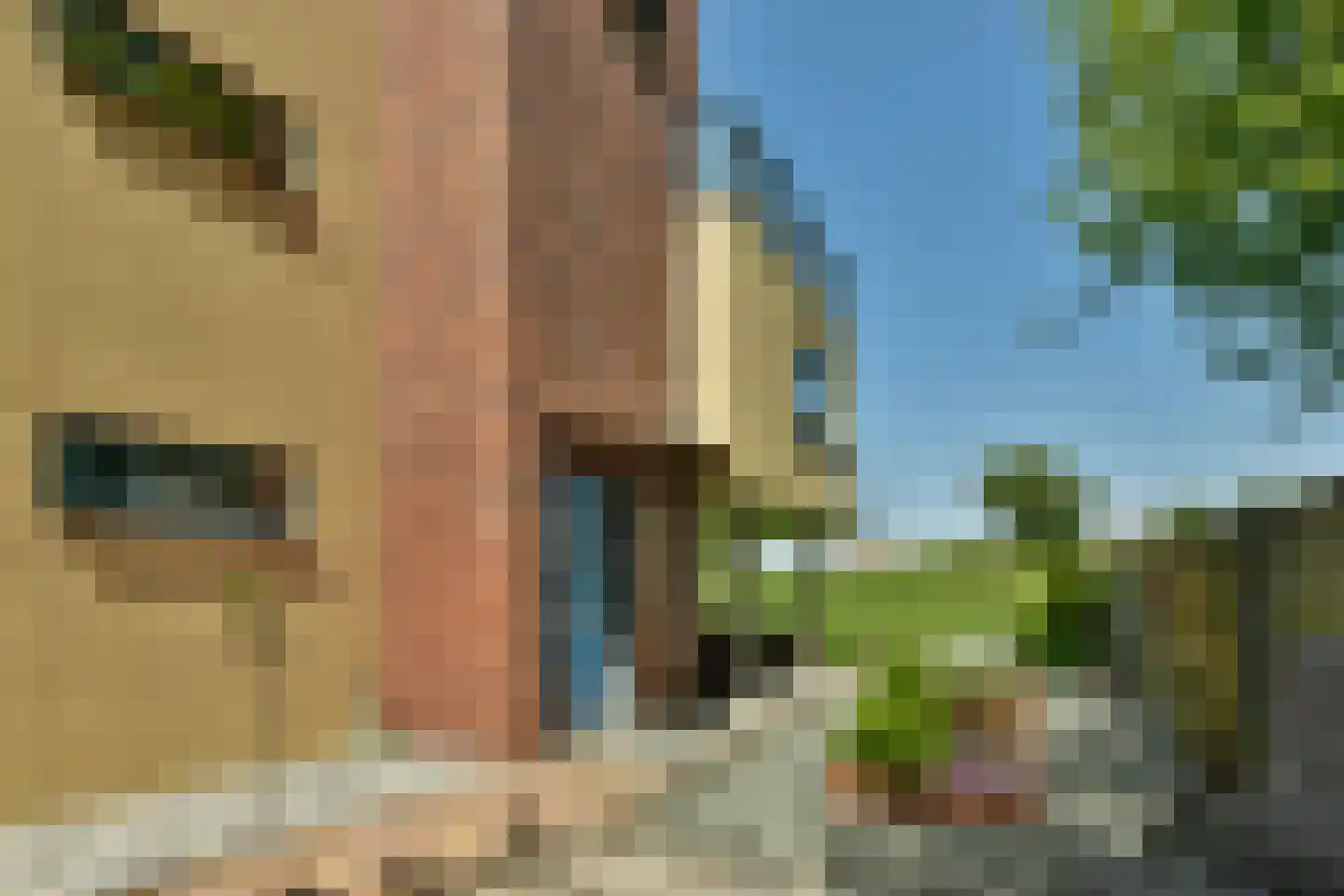 Boomvalk 2 Ouderkerk aan de Amstel thumbnail 7
