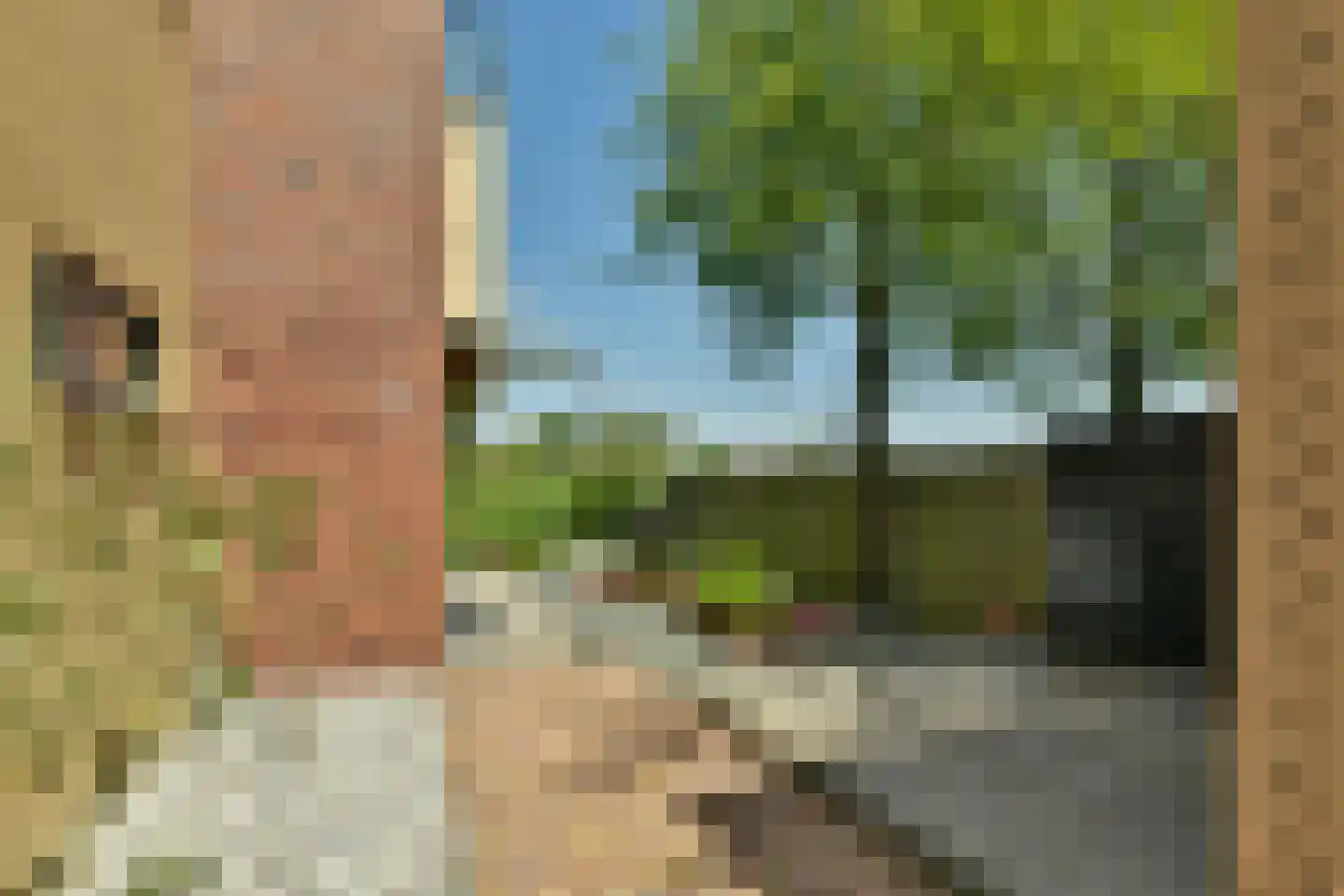 Boomvalk 2 Ouderkerk aan de Amstel thumbnail 8