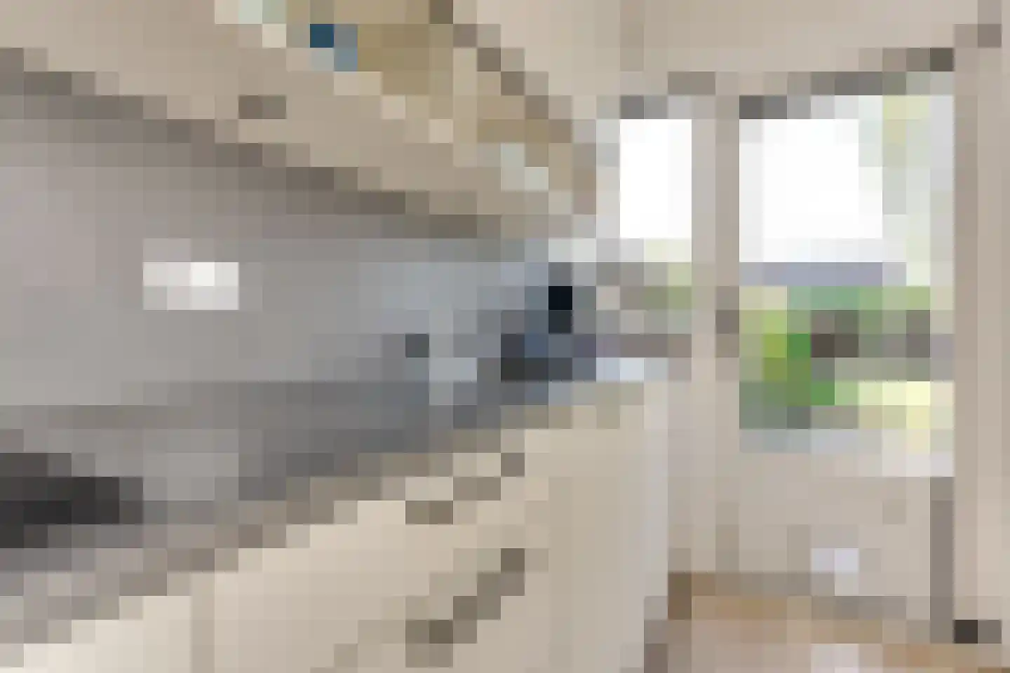 Boomvalk 22 Nieuwegein thumbnail 11