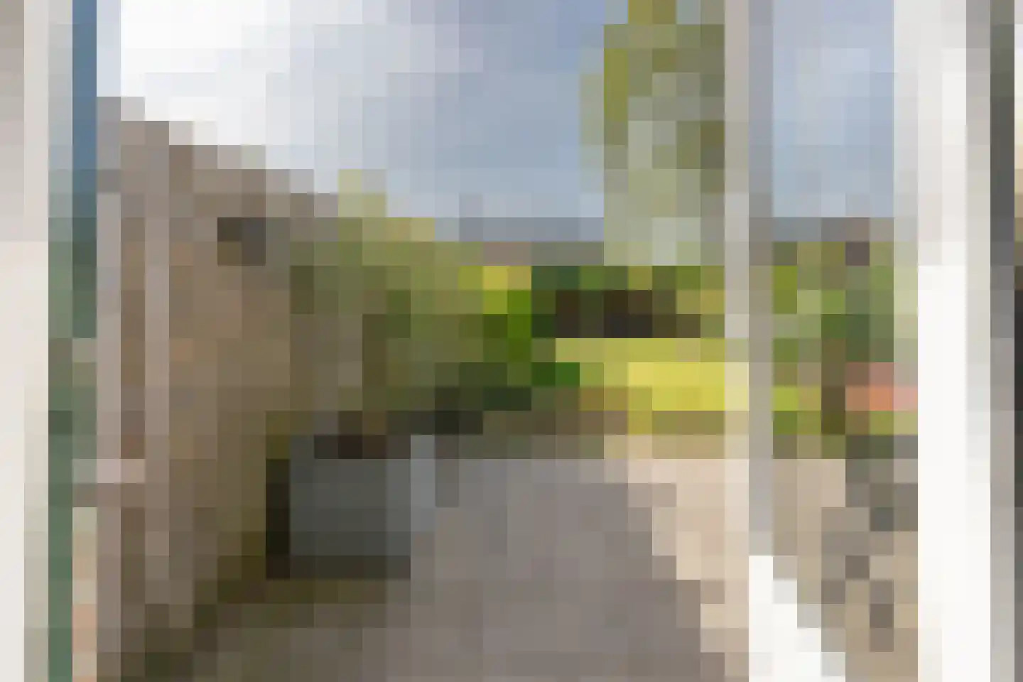 Boomvalk 22 Nieuwegein thumbnail 14