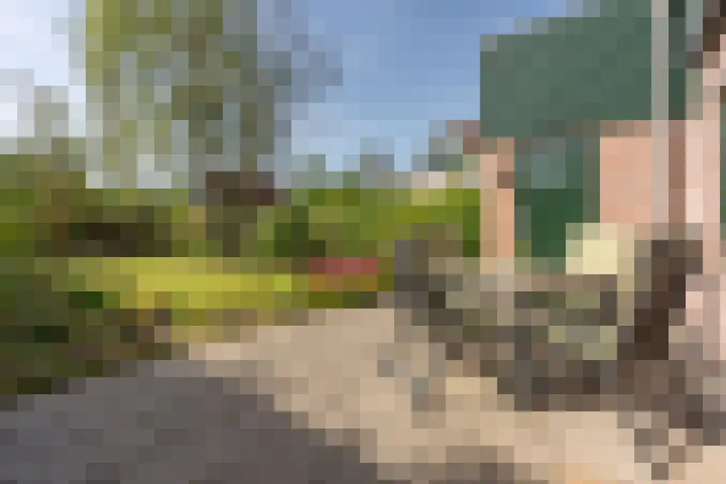 Boomvalk 22 Nieuwegein thumbnail 15