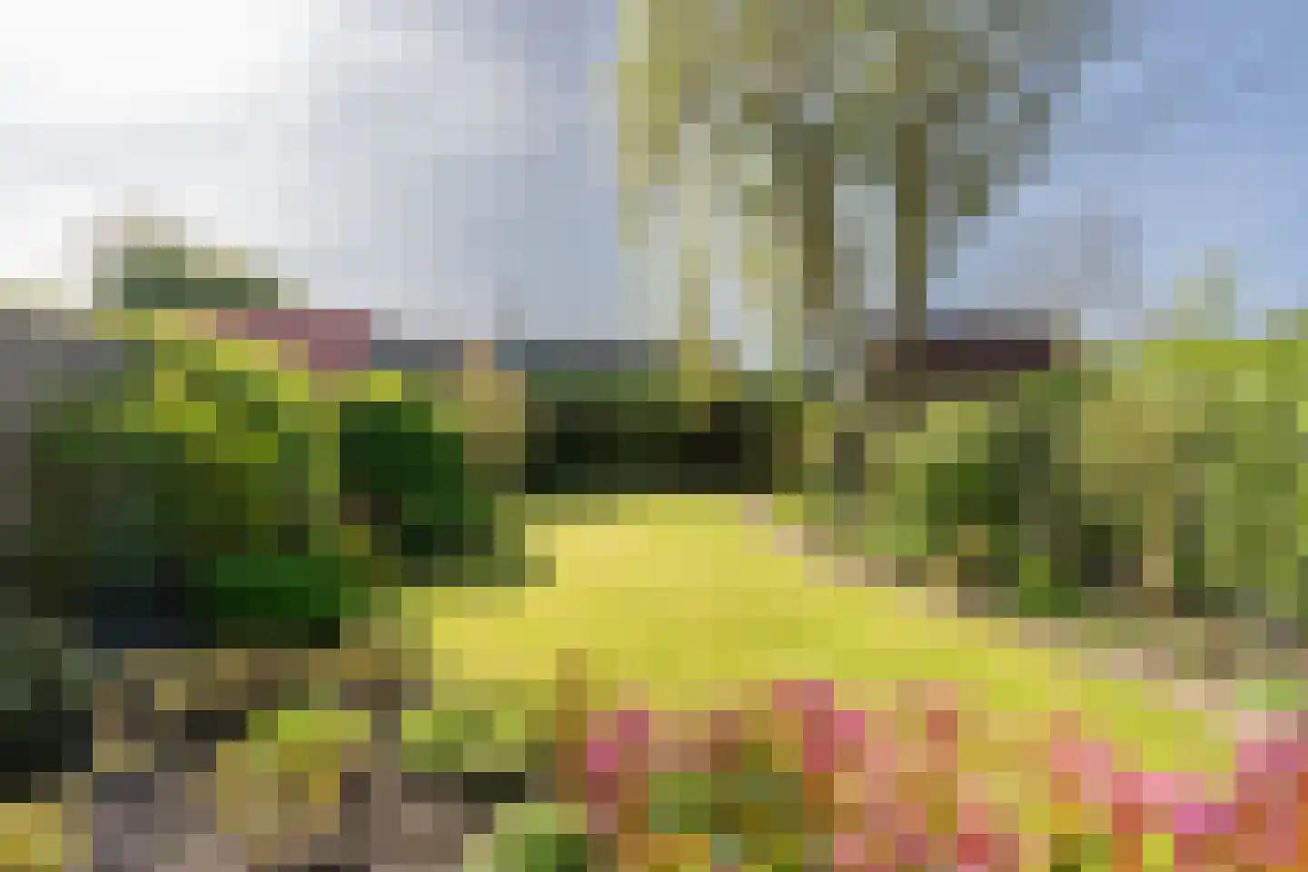 Boomvalk 22 Nieuwegein thumbnail 16