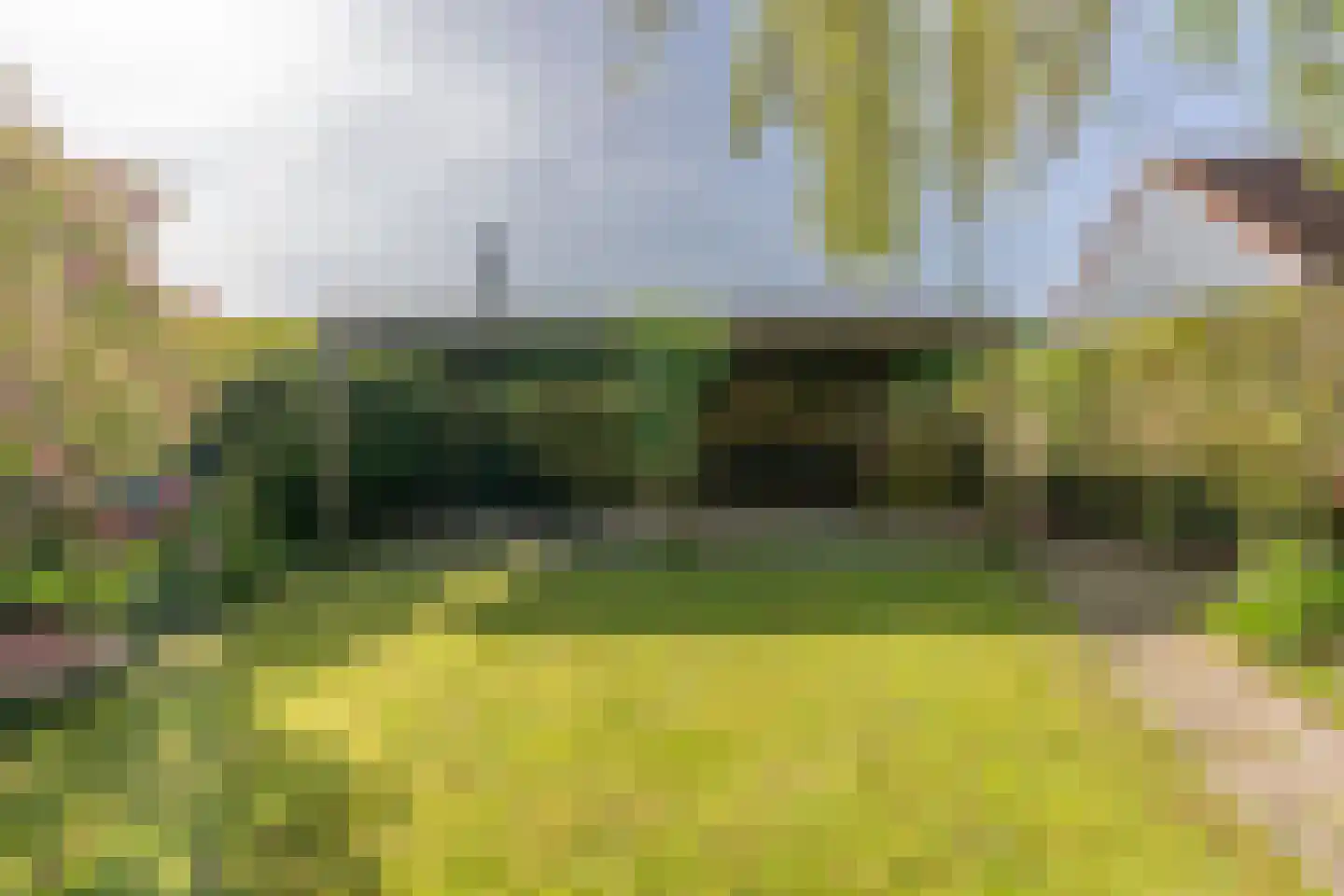 Boomvalk 22 Nieuwegein thumbnail 17