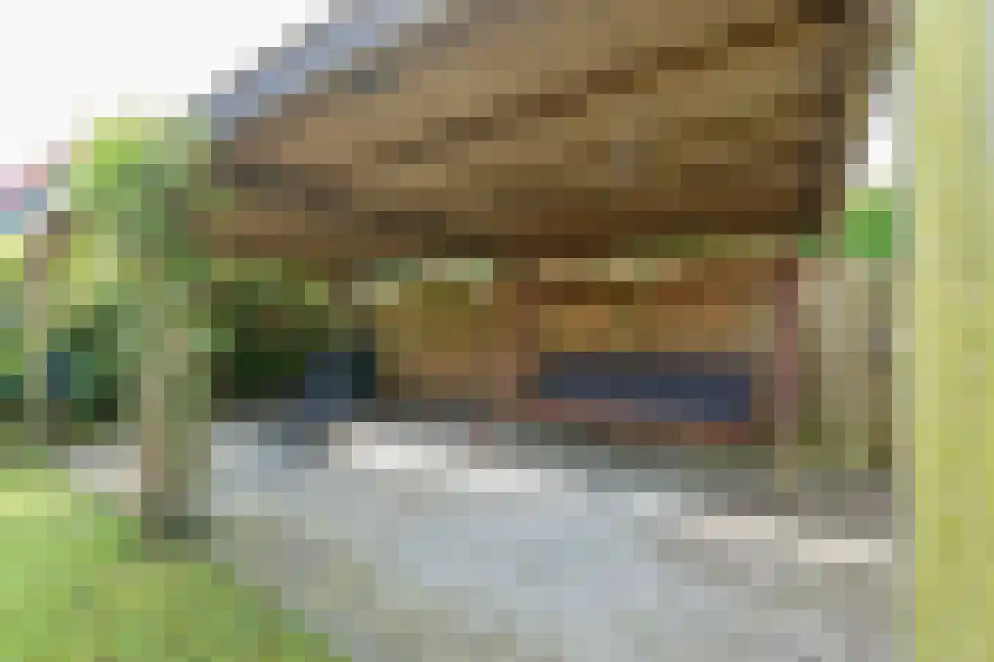 Boomvalk 22 Nieuwegein thumbnail 18