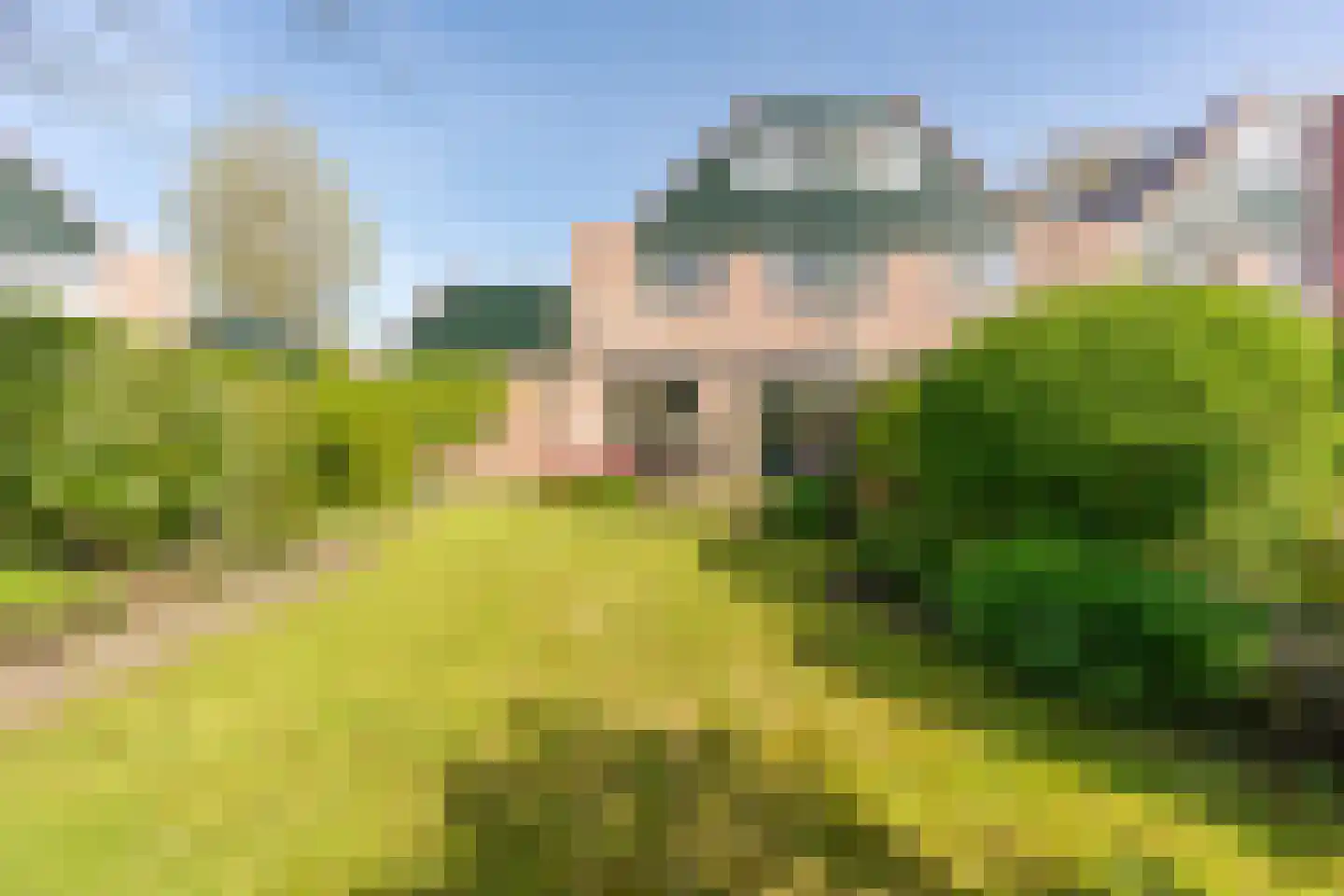 Boomvalk 22 Nieuwegein thumbnail 20