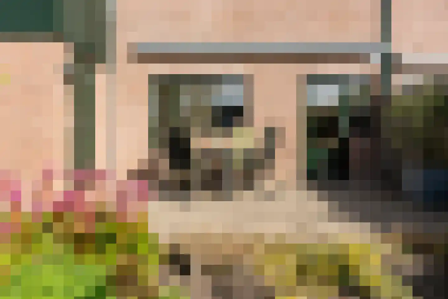 Boomvalk 22 Nieuwegein thumbnail 21