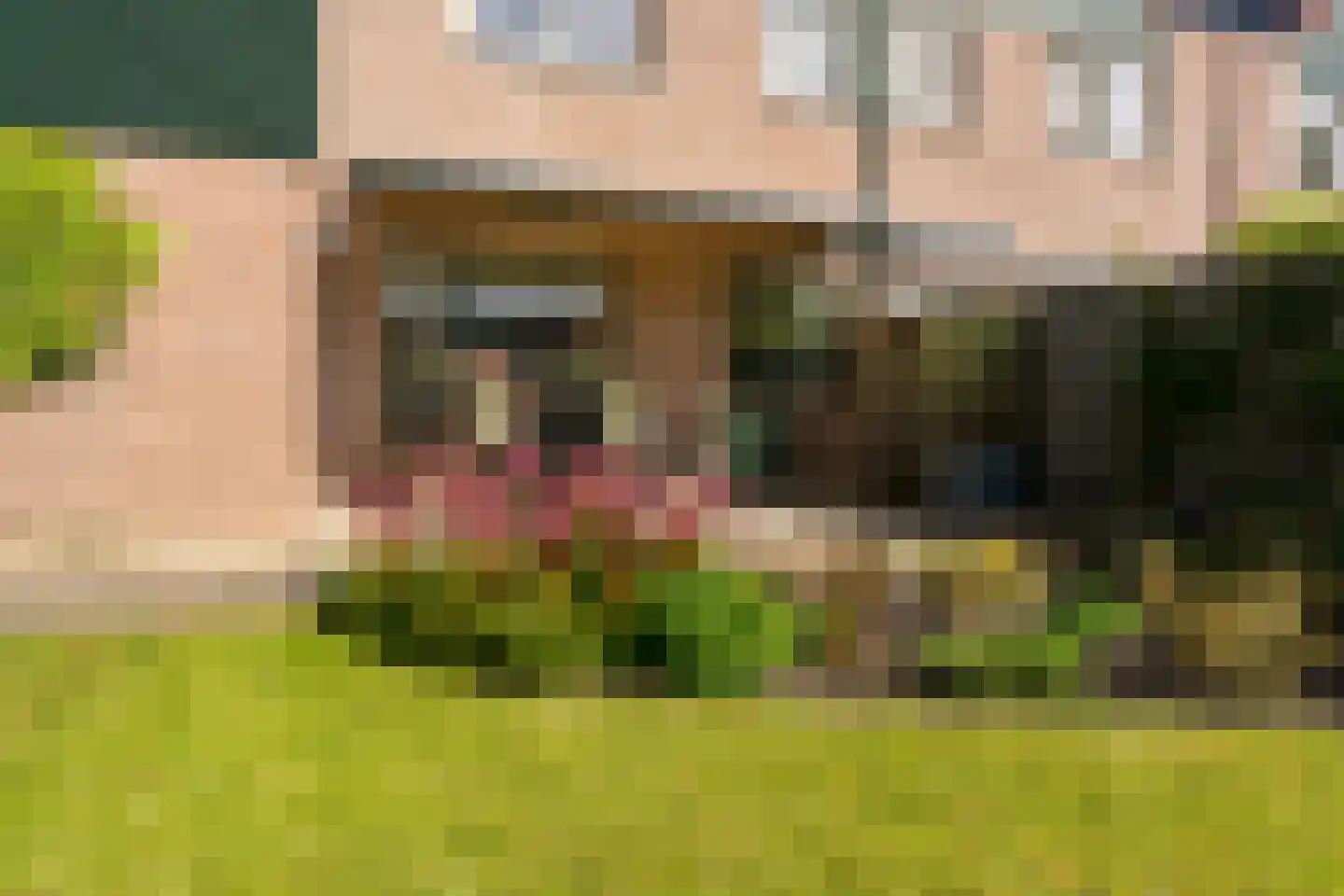 Boomvalk 22 Nieuwegein thumbnail 22