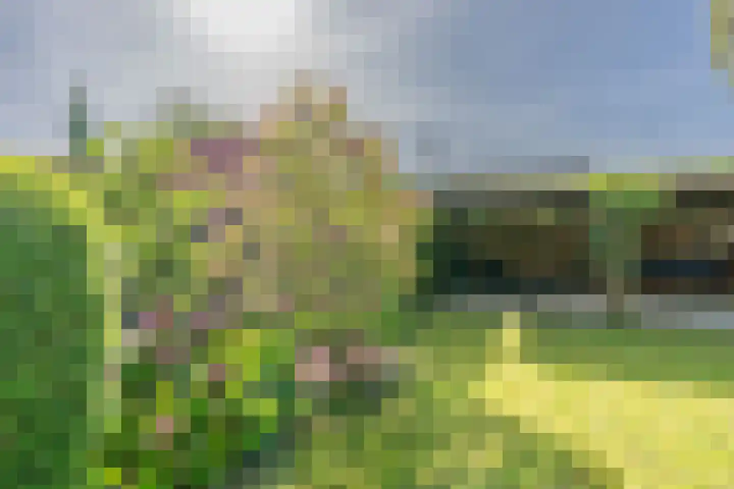 Boomvalk 22 Nieuwegein thumbnail 23
