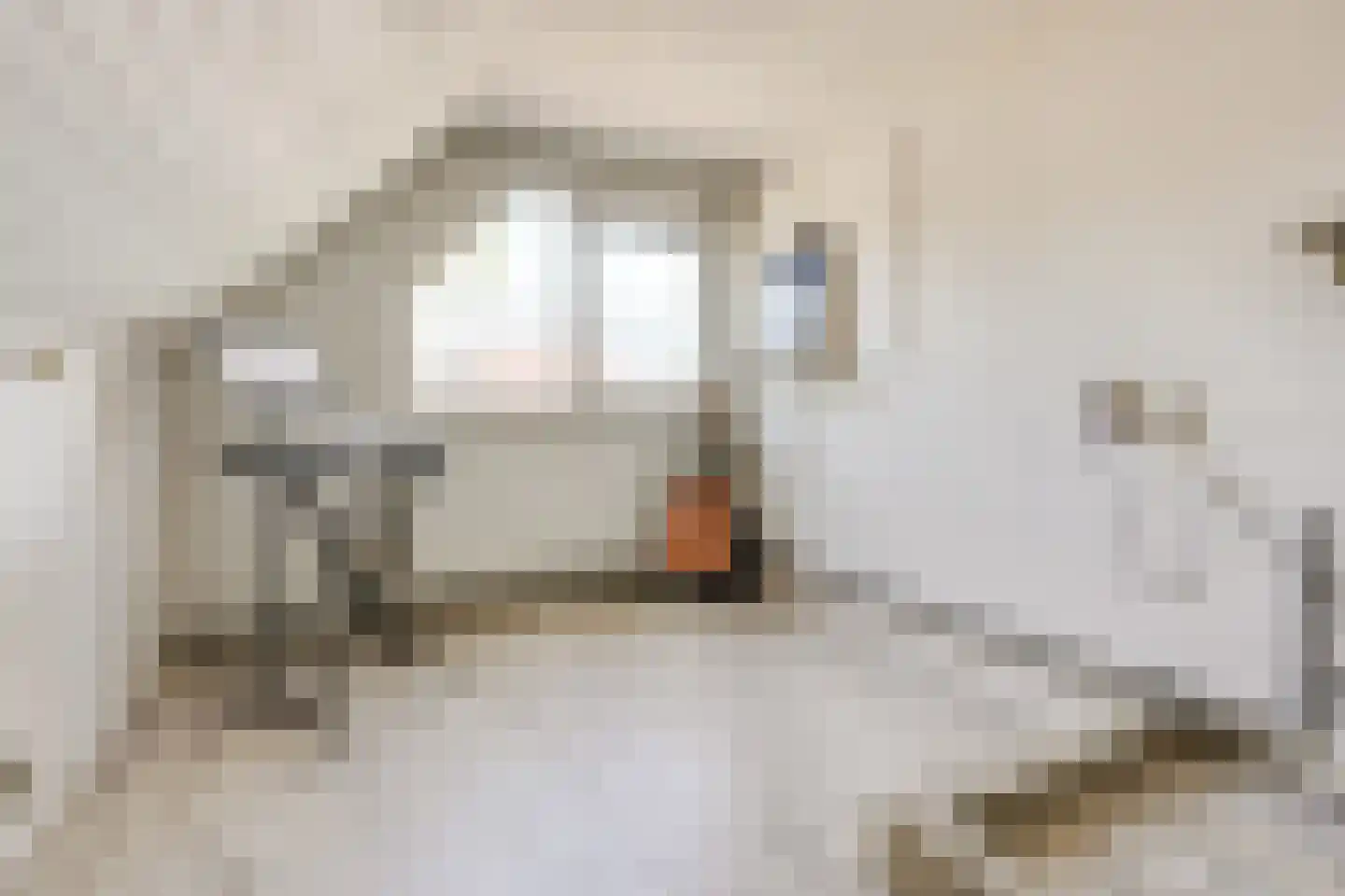 Boomvalk 22 Nieuwegein thumbnail 51