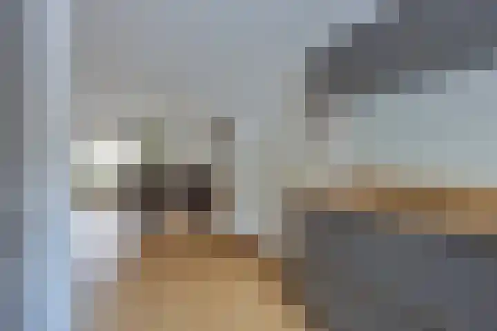 Boomvalk 24 Emmen thumbnail 12