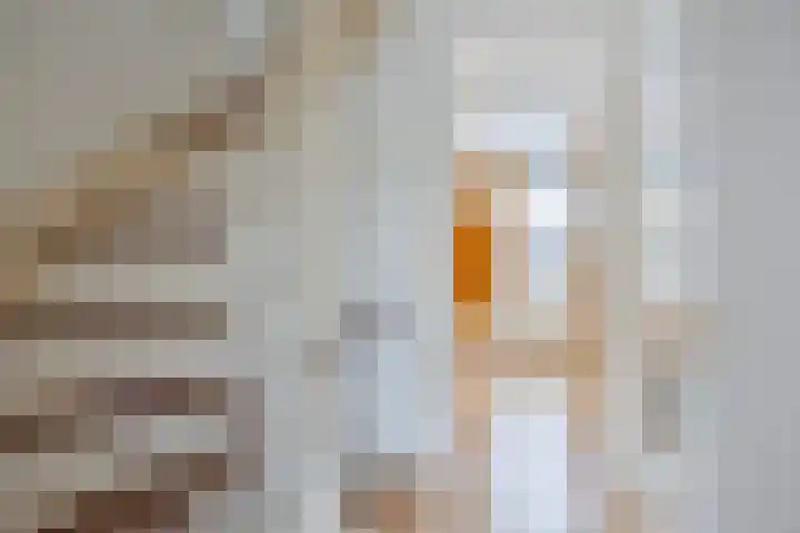 Boomvalk 24 Emmen thumbnail 14