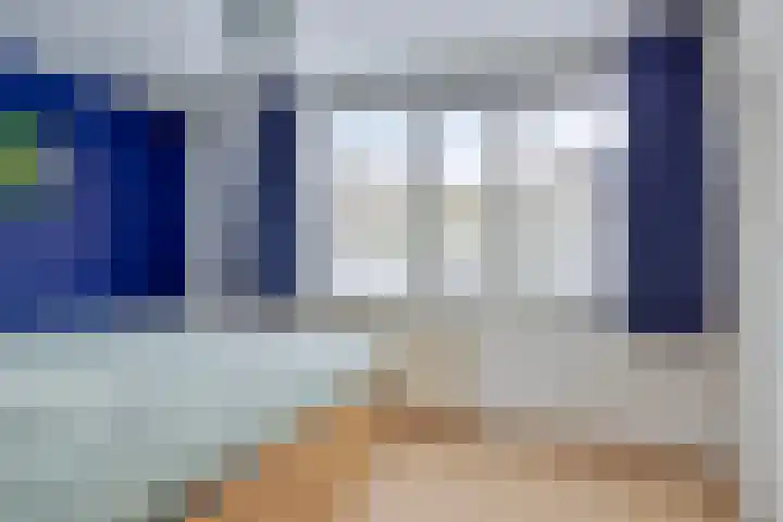 Boomvalk 24 Emmen thumbnail 15