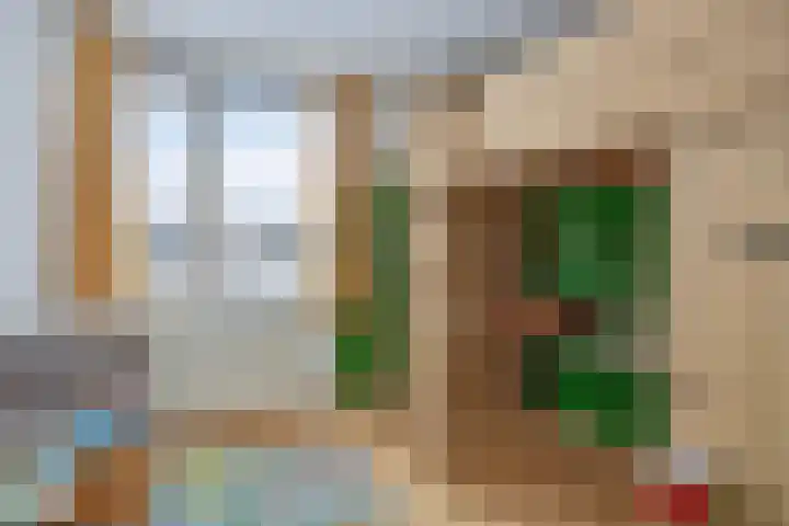 Boomvalk 24 Emmen thumbnail 17