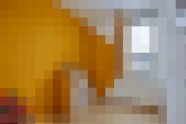 Boomvalk 24 Emmen thumbnail 18