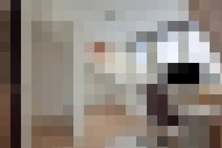 Boomvalk 24 Emmen thumbnail 23