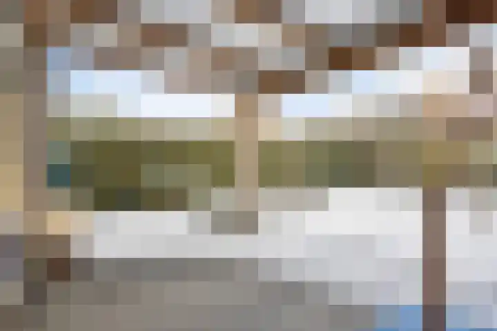 Boomvalk 24 Emmen thumbnail 26