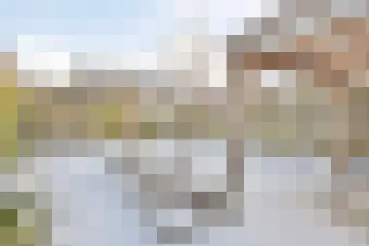 Boomvalk 24 Emmen thumbnail 27