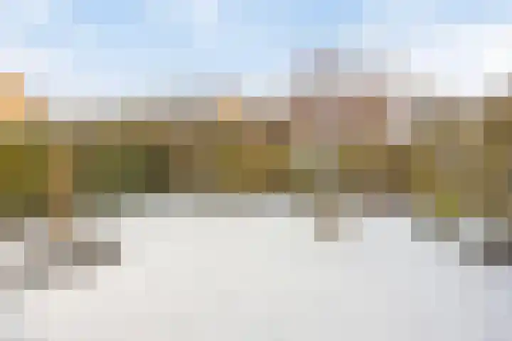 Boomvalk 24 Emmen thumbnail 28