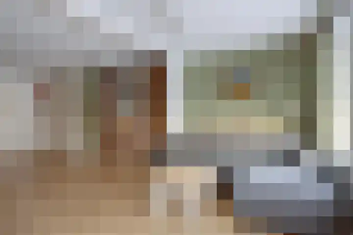 Boomvalk 24 Emmen thumbnail 6