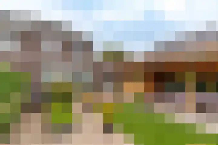Boomvalk 28 Venray thumbnail 12