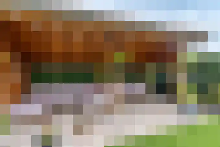 Boomvalk 28 Venray thumbnail 14