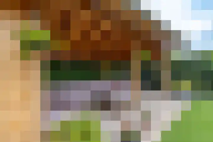 Boomvalk 28 Venray thumbnail 15