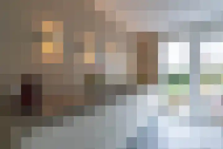 Boomvalk 28 Venray thumbnail 19